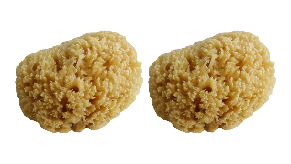 MP Naturschwamm 12-18 cm