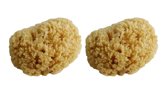 MP Naturschwamm 12-18 cm