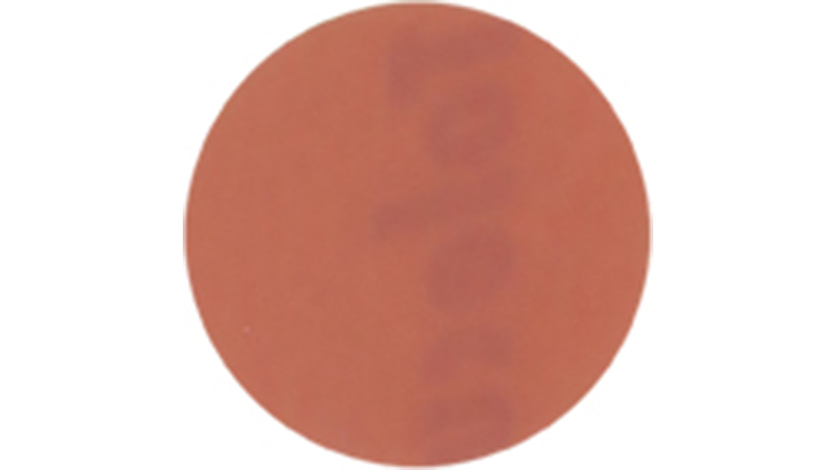 Kovax Schleifblüten Tolecut Ø34mm für Industrie